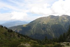 IMG_0226