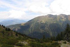 IMG_0228
