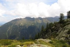 IMG_0251