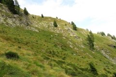 IMG_0262
