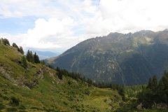 IMG_0263