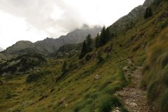 IMG_0288