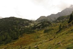 IMG_0289