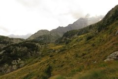 IMG_0290