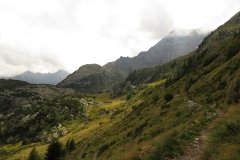 IMG_0297
