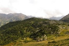 IMG_0303