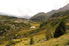 IMG_0307