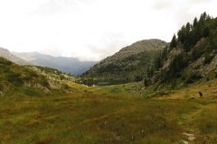 IMG_0317