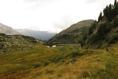 IMG_0324