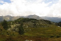IMG_0328
