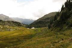 IMG_0331