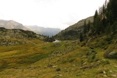 IMG_0335