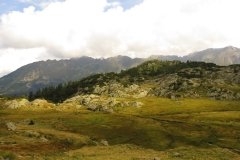 IMG_0338
