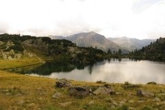 IMG_0352