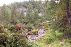 IMG_0367