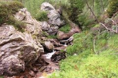 IMG_0370