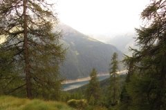 IMG_0372