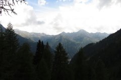 IMG_0381