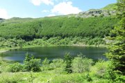 IMG_0005