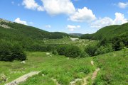 IMG_0013