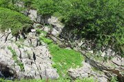 IMG_0017