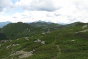 IMG_0031