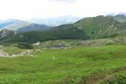 IMG_0038