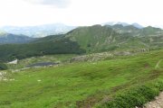 IMG_0041