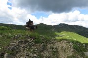 IMG_0045