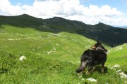 IMG_0048