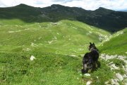 IMG_0051