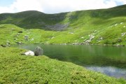IMG_0065