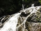 img_0066
