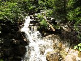 img_0067