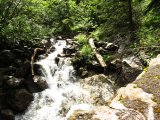 img_0070