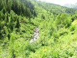 img_0078