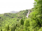 img_0079