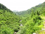 img_0087