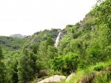img_0088