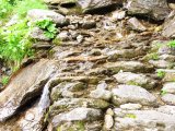 img_0125
