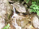 img_0128