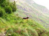 img_0136