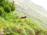 img_0138