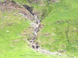 img_0156