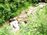 img_0182
