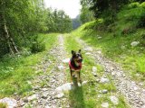 img_0203