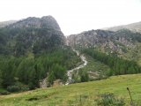 IMG_0001