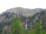 IMG_0006