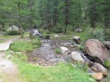 IMG_0008
