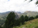 IMG_0035